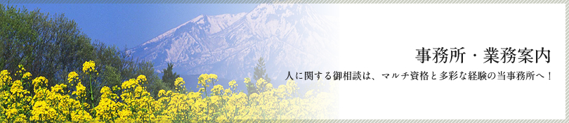 事務所・業務案内