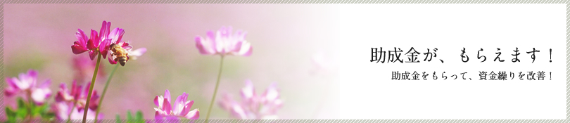 助成金が、もらえます！