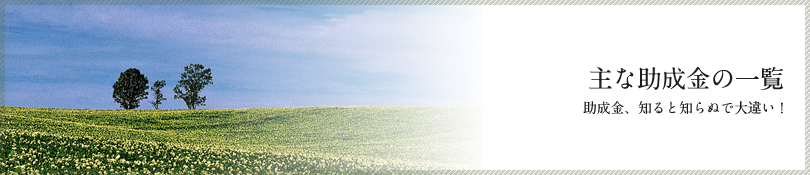 主な助成金の一覧